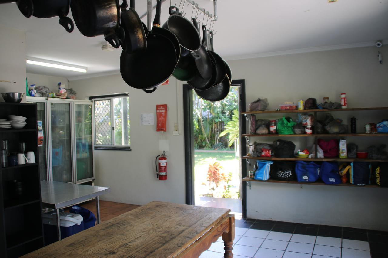 Jungle Hostel
